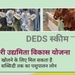 डेयरी उद्यमिता विकास स्कीम (DEDS): योग्यता, सब्सिडी और लाभ