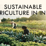 भारत में सतत कृषि - Sustainable Agriculture in India
