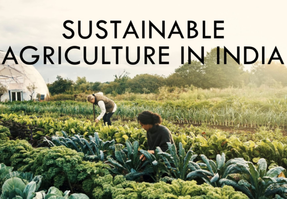 भारत में सतत कृषि - Sustainable Agriculture in India