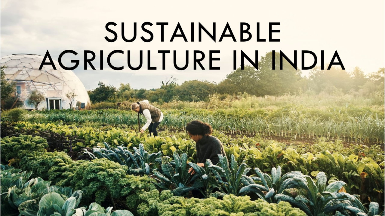 भारत में सतत कृषि - Sustainable Agriculture in India