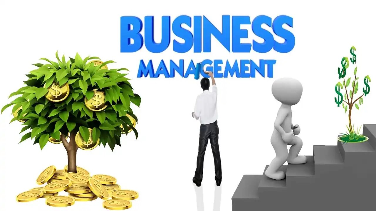 What is Business Management